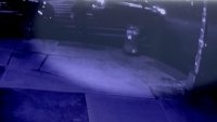 Police: 1 person dead, another in critical condition in Bushwick car crash; suspects wanted