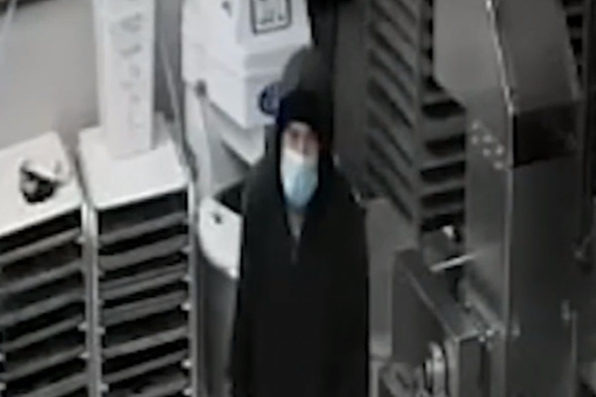 Video shows serial burglary suspect on Staten Island