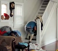 Disturbing exclusive video shows serial burglar inside Queens home
