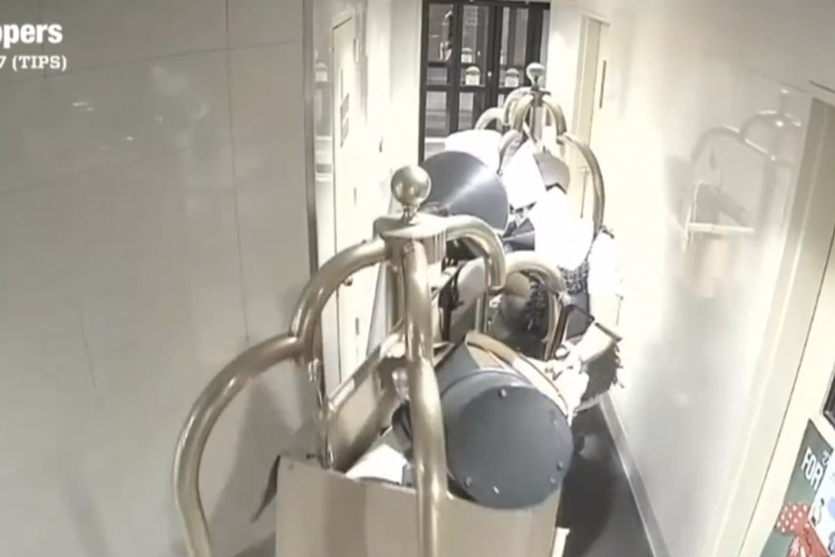 Caught On Camera: Suspected Burglars Cart Off More Than $10,000 Worth Of Stolen Items, NYPD Says